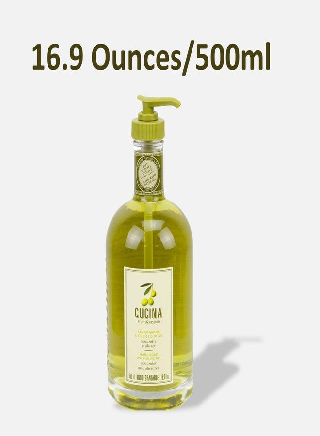 Cucina Purifying Hand Wash Coriander and Olive Tree 16.9 Fl Oz Glass Bottle by Cucina - Image 5